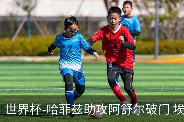 世界杯-哈菲兹助攻阿舒尔破门 埃及半场暂1-0澳大利亚